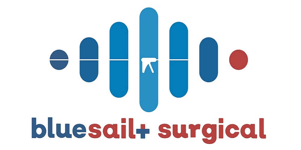  bluesail  logo 